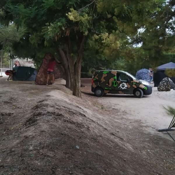 239031759_588896992494827_7884004444345919787_n